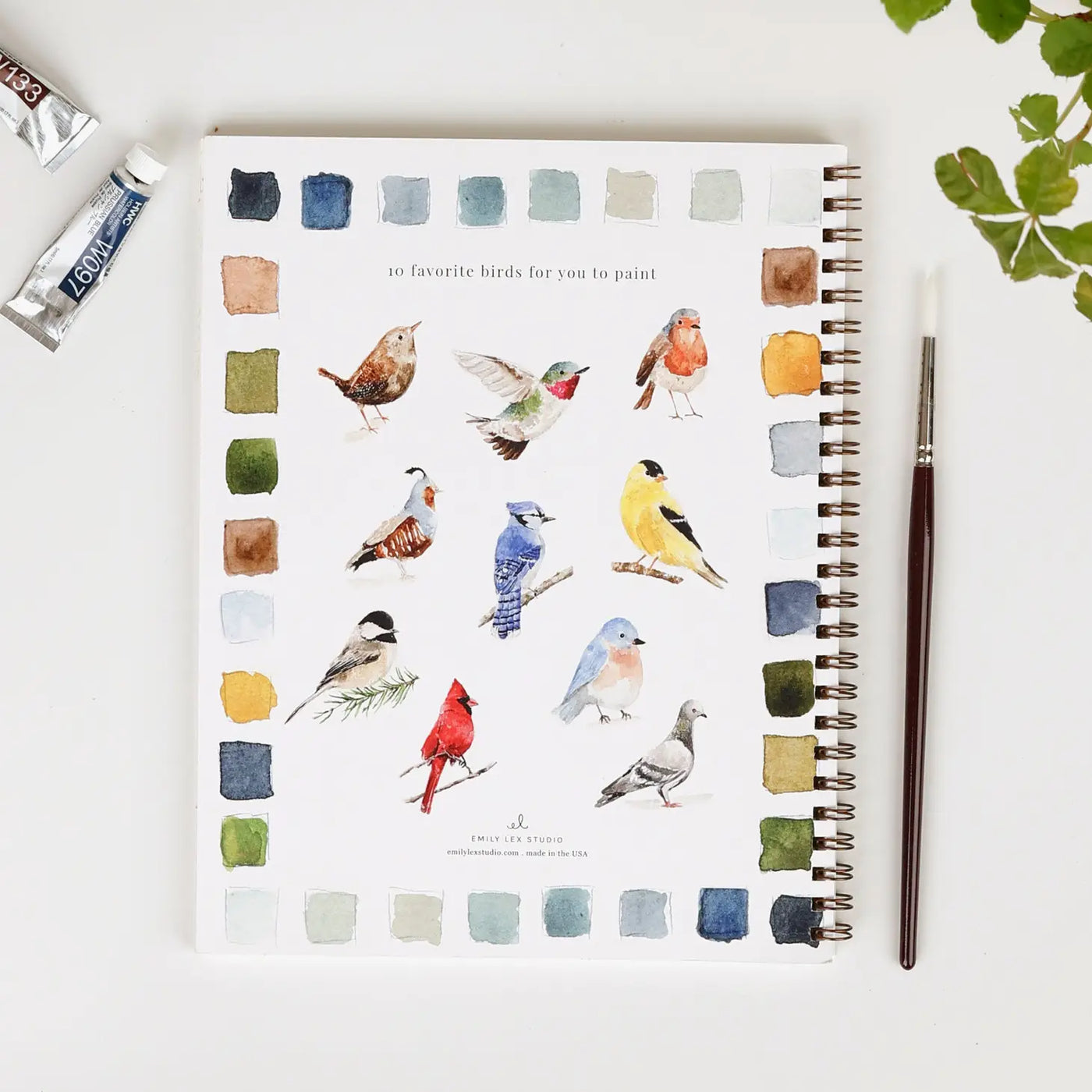 Watercolor Workbook: Birds
