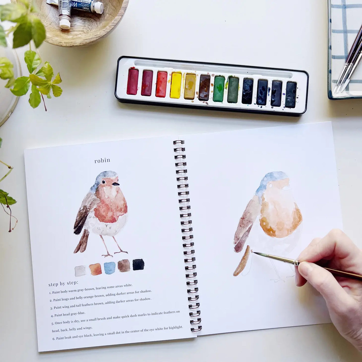 Watercolor Workbook: Birds