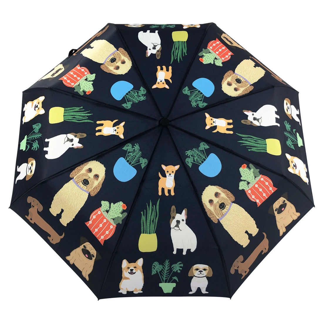 It's Raining Cats & Dogs Umbrellas